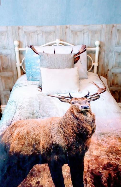 East Midlands Guesthouse Derby Bagian luar foto